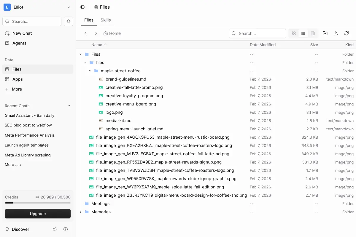 Built-in file system